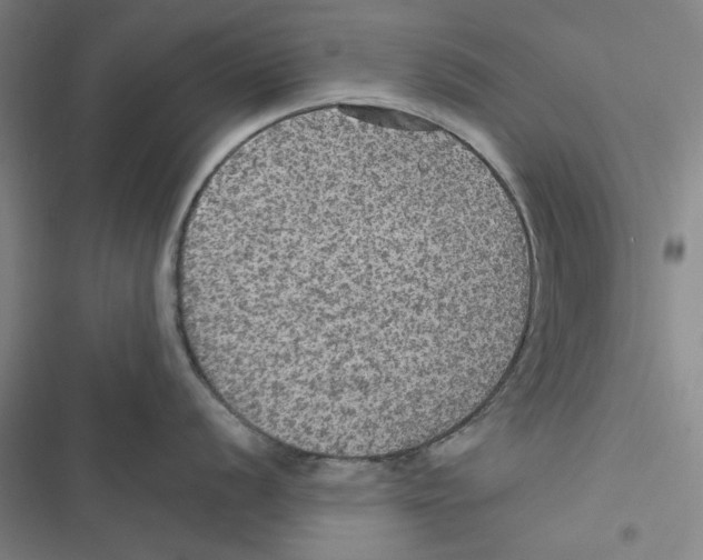 X0000116791056201001151057