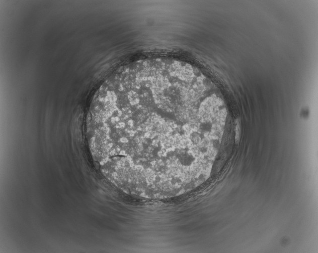 X0000116791059201001151057