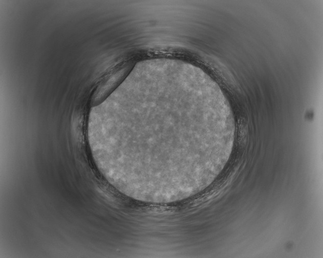 X0000116791060201001151057