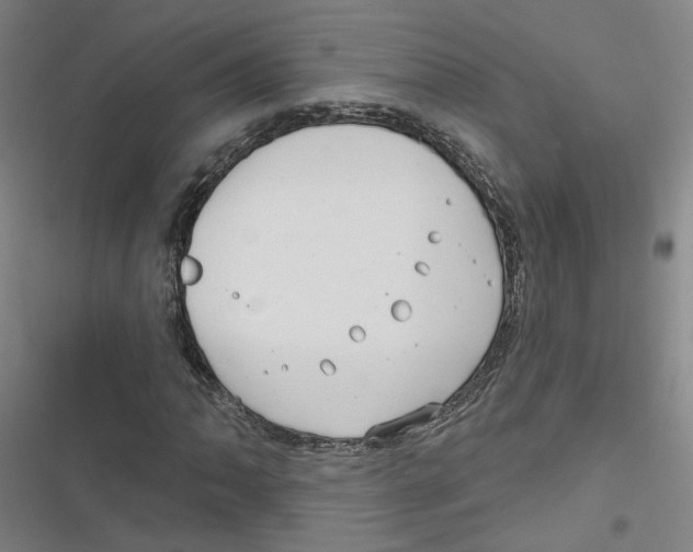 X0000116791062201001151057