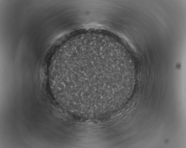 X0000116791063201001151057