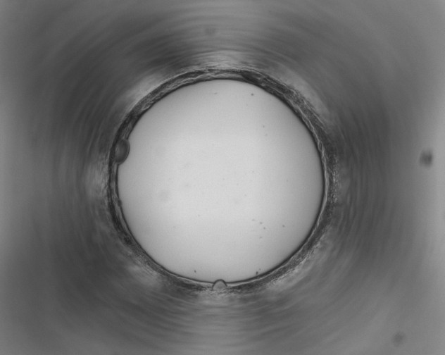 X0000116791065201001151057