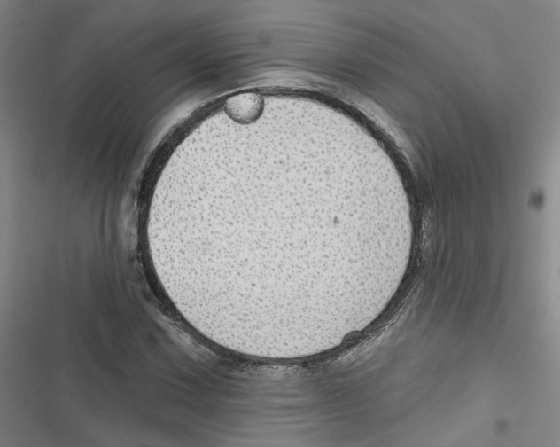 X0000116791067201001151057