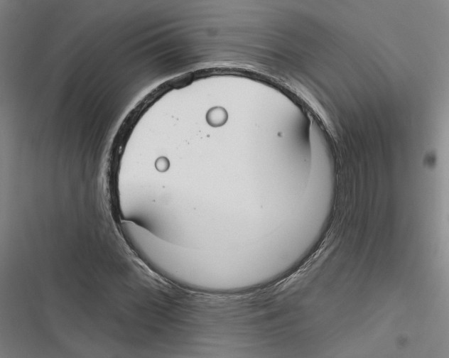 X0000116791068201001151057