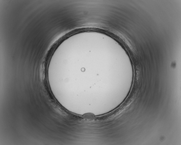X0000116791069201001151057