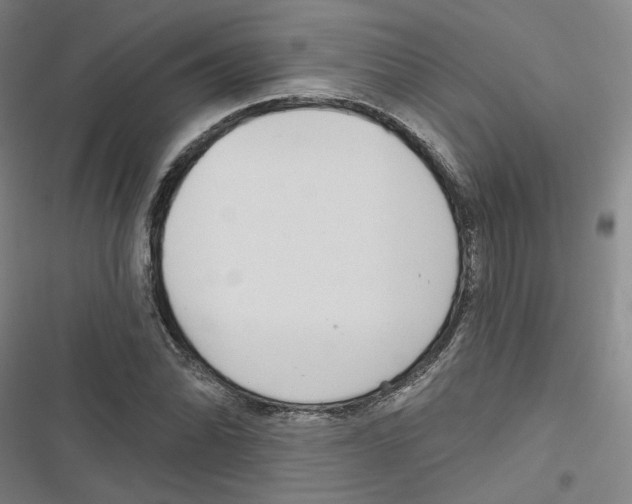 X0000116791070201001151057
