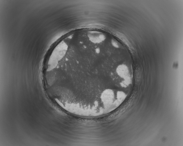 X0000116791071201001151057