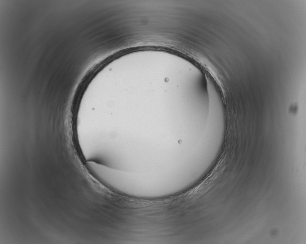 X0000116791072201001151057