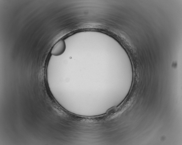 X0000116791073201001151057