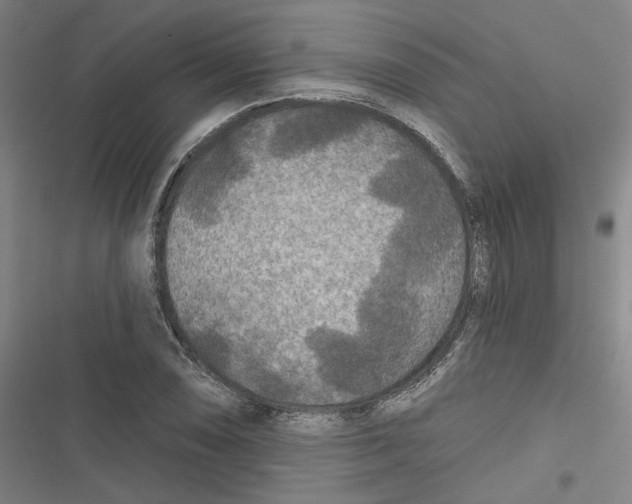 X0000116791074201001151057
