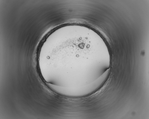 X0000116791075201001151057