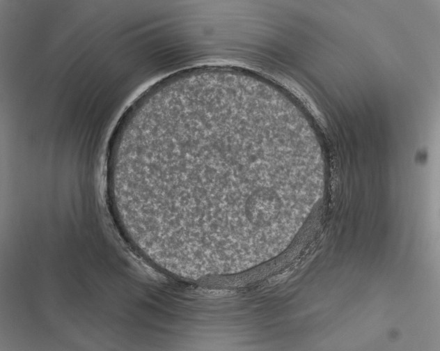 X0000116791076201001151057