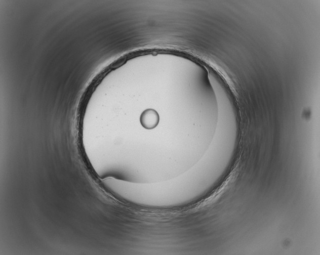 X0000116791077201001151057
