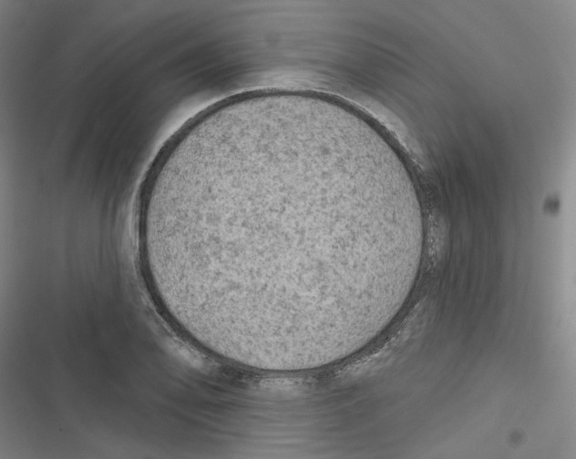 X0000116791078201001151057