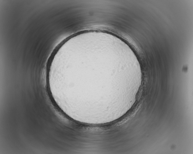 X0000116791079201001151057