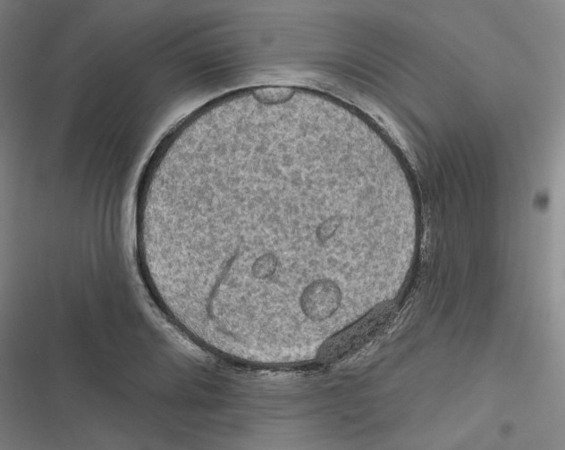 X0000116791080201001151056