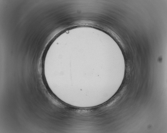 X0000116791082201001151056