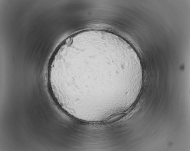 X0000116791083201001151056