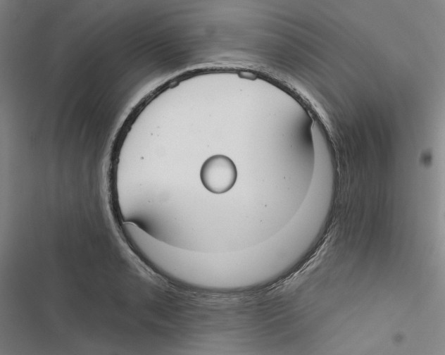 X0000116791085201001151056