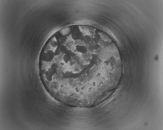 X0000116791087201001151056