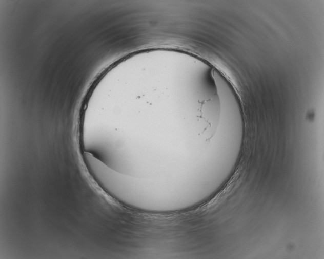 X0000116791088201001151056