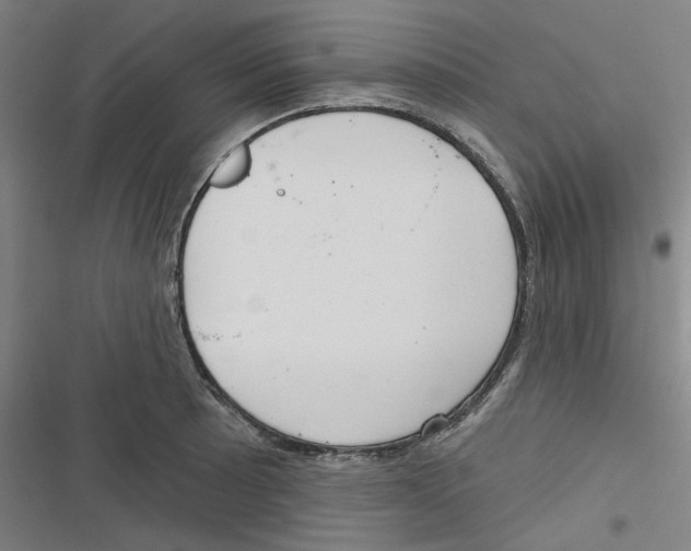 X0000116791089201001151056