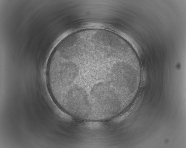 X0000116791090201001151056