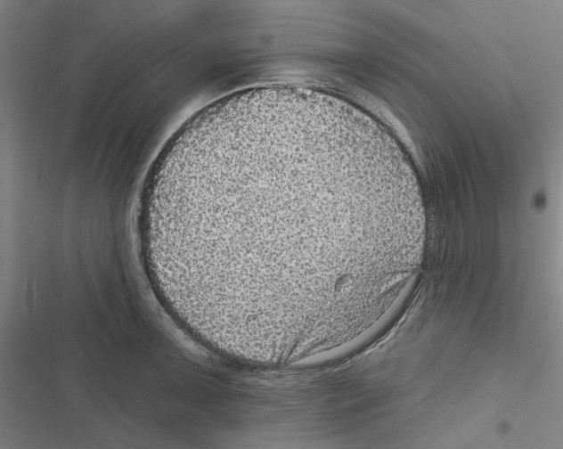 X0000116791091201001151056