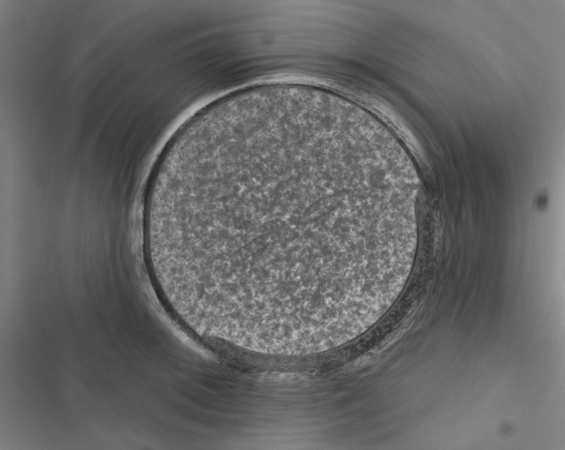 X0000116791092201001151056
