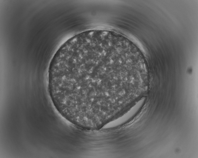 X0000116791095201001151056