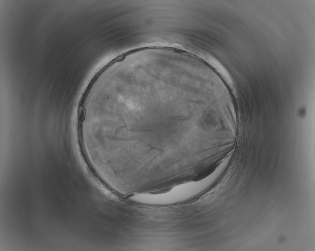 X0000116791096201001151056