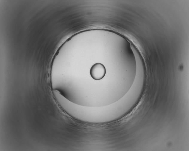 X0000116791097201001151056