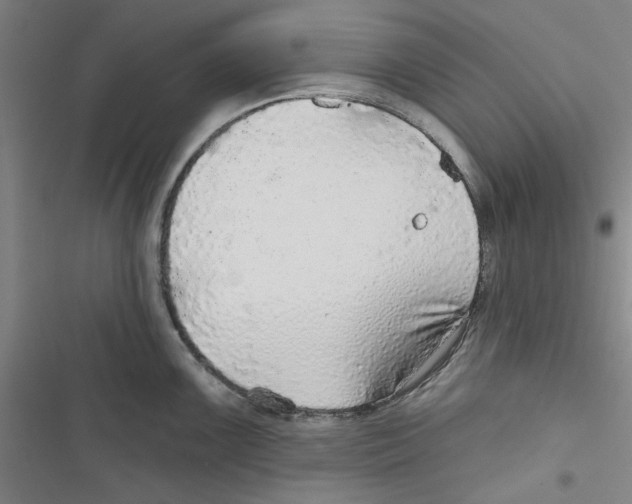 X0000116791099201001151056