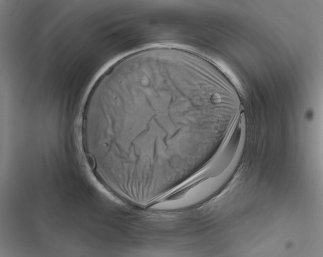 X0000116791100201001151056