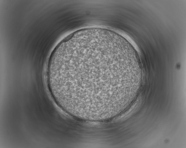 X0000116791101201001151056