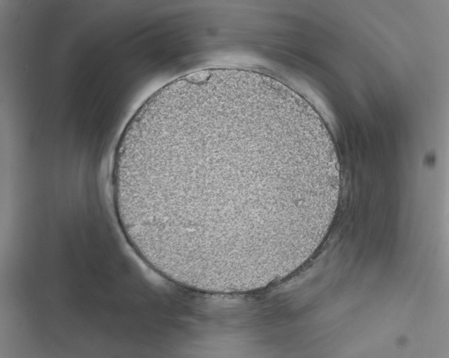 X0000116791103201001151056