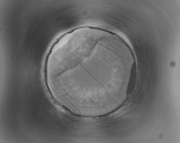 X0000116791104201001151056