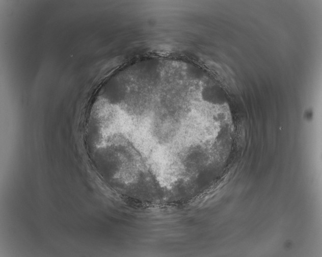X0000116791105201001151056