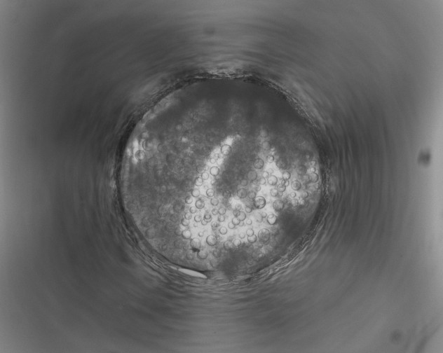 X0000116791106201001151056