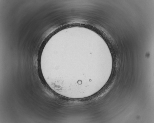 X0000116791113201001151056
