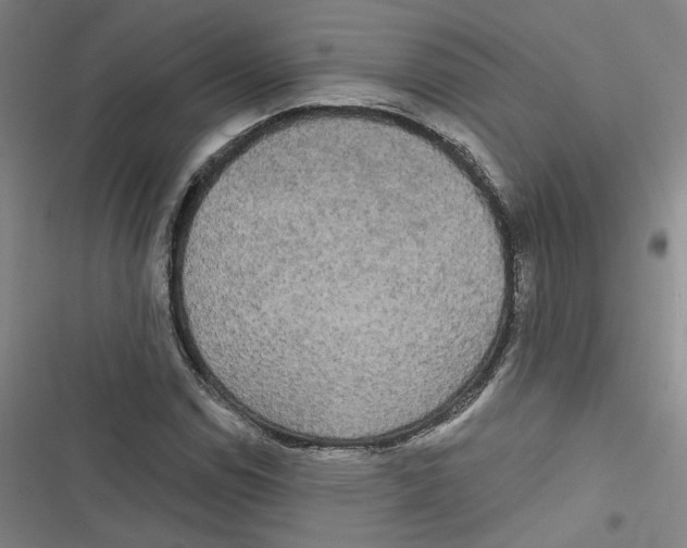 X0000116791114201001151056