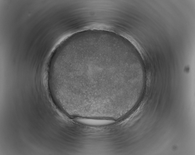 X0000116791115201001151056