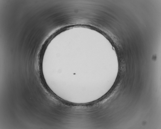 X0000116791118201001151056