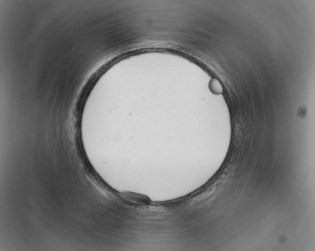 X0000116791119201001151056