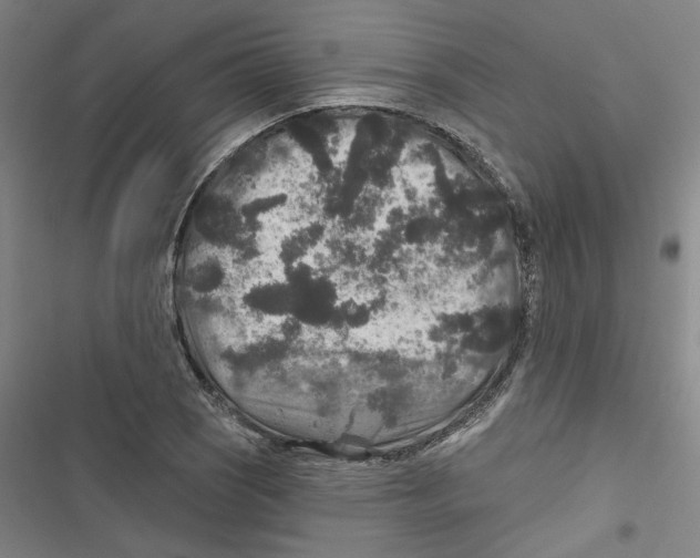 X0000116791121201001151056