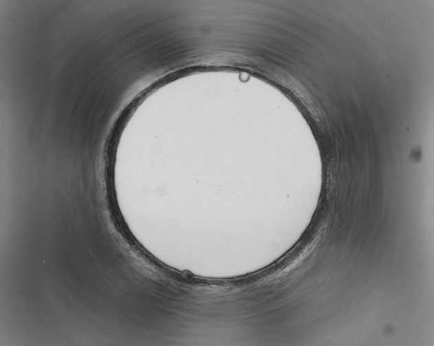 X0000116791122201001151056