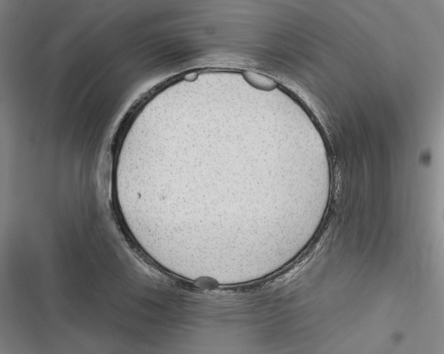X0000116791123201001151056