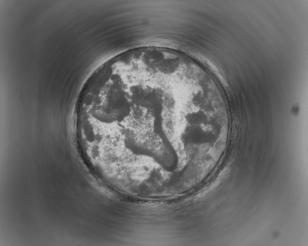 X0000116791125201001151056