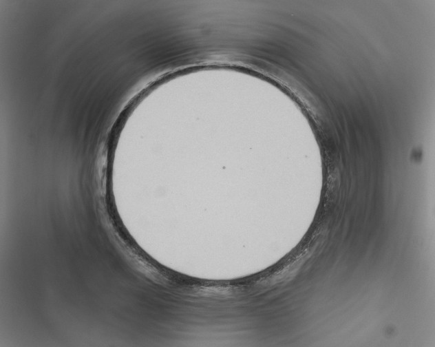 X0000116791126201001151056