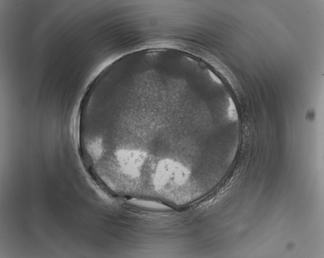 X0000116791127201001151056